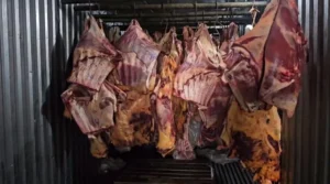 carne-300x167 Carne de enchentes do sul é vendida como produto do Uruguai