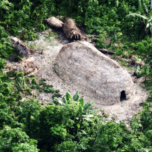 Funai Monitora Contato de Indígena Isolado em Mamoriá Grande e Bela Rosa (AM)